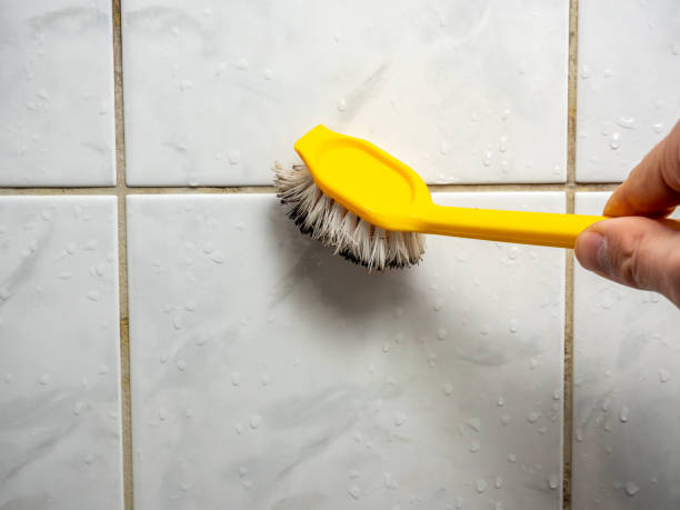 Mold Testing and Removal in Guthrie Center, IA