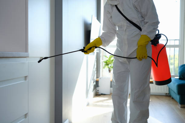 Best Residential Mold Removal  in Guthrie Center, IA