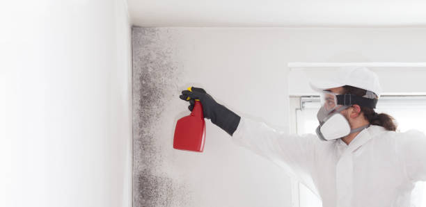 Crawl Space Mold Removal in Guthrie Center, IA