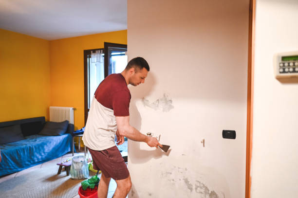 Best Mold Remediation Experts  in Guthrie Center, IA